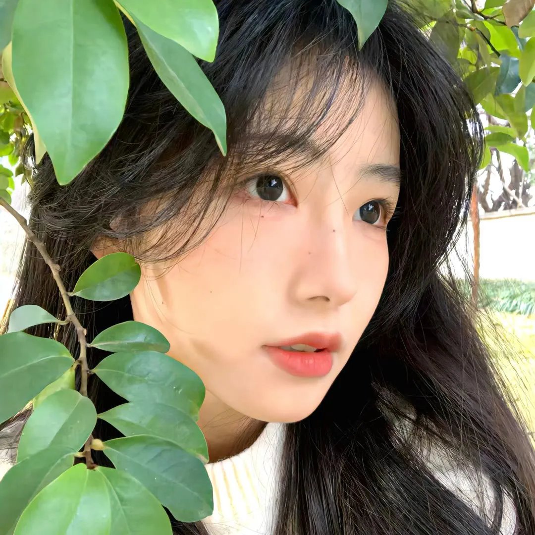 3橘之恋